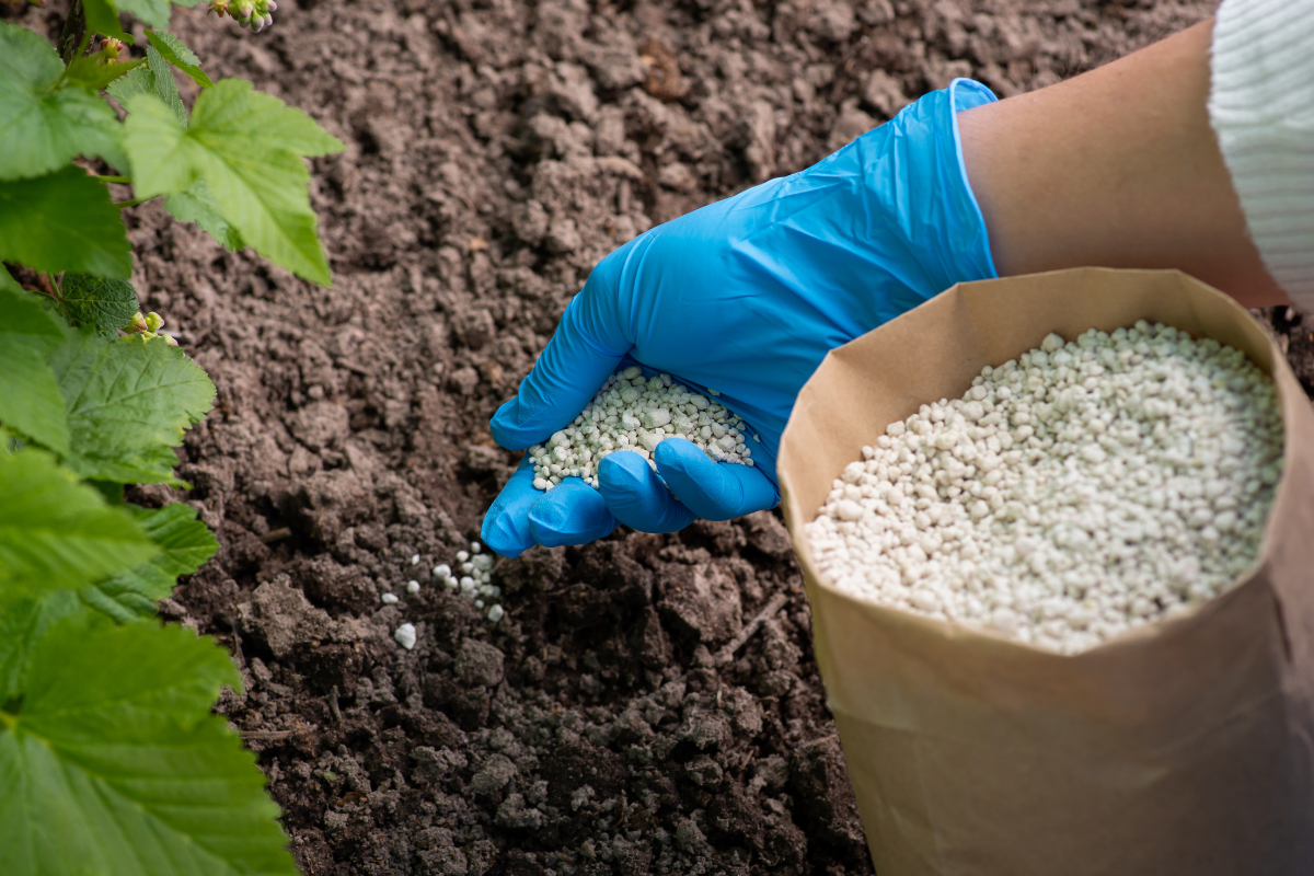 productos quimicos para fertilizantes